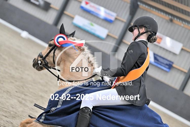 250202 0421