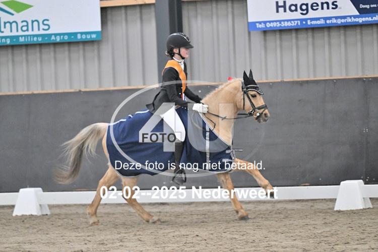 250202 0422