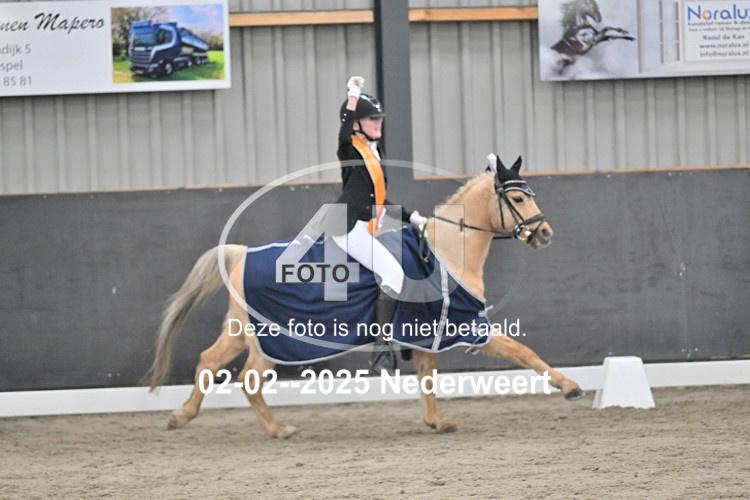 250202 0426