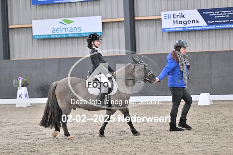 250202 0442