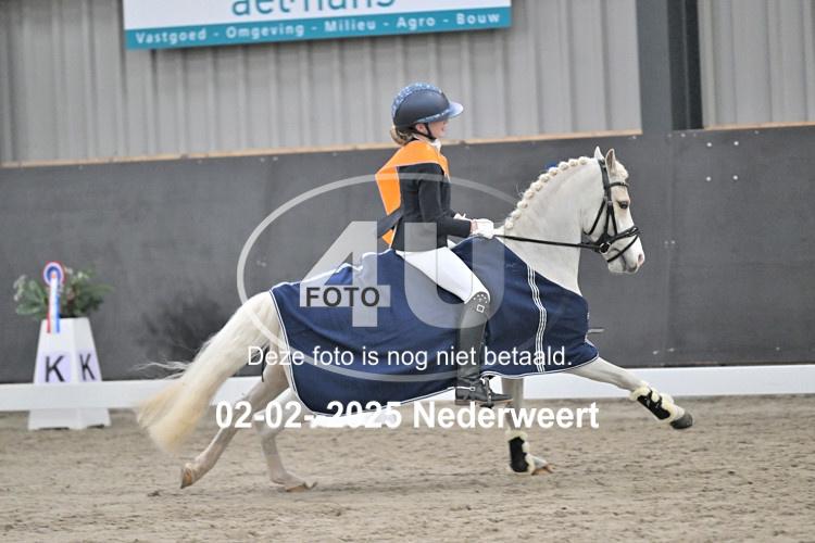 250202 0525