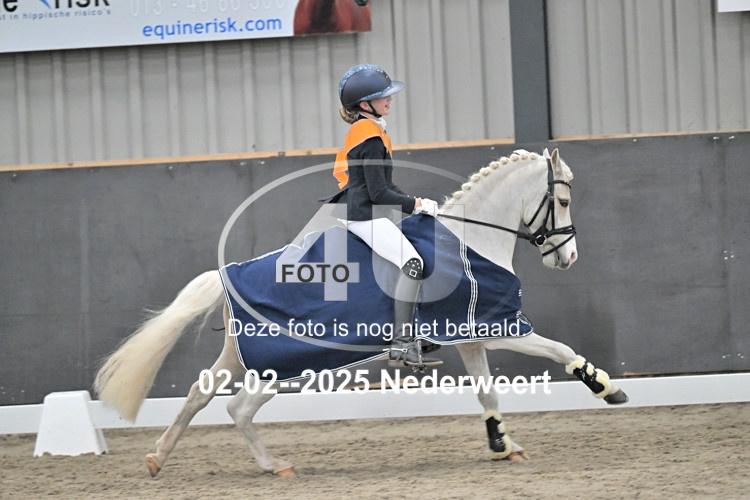 250202 0528