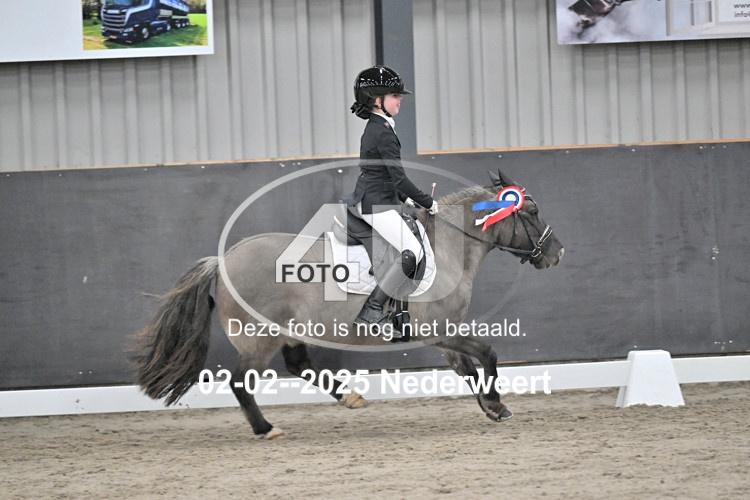 250202 0531