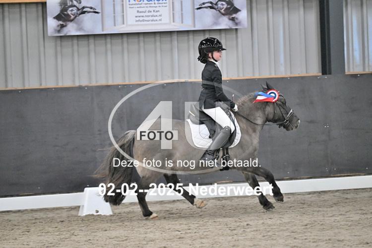 250202 0532