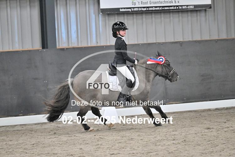 250202 0533