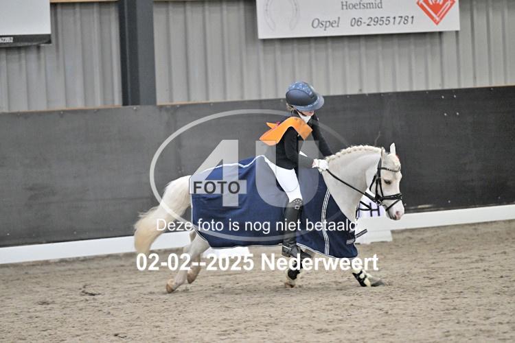 250202 0546