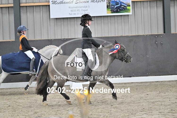 250202 0556