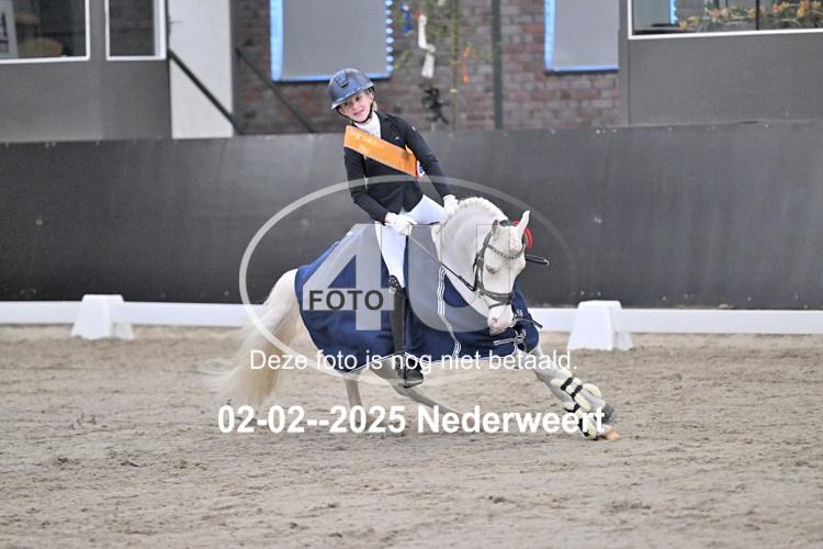 250202 0568