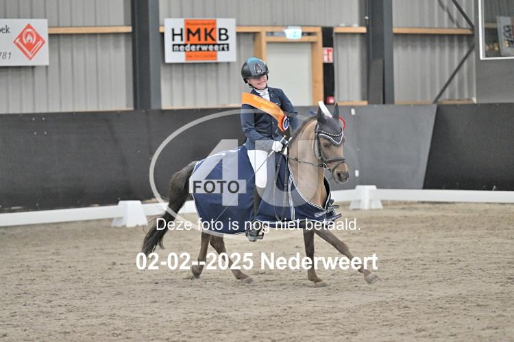 250202 0646