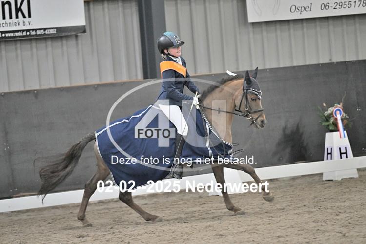 250202 0650