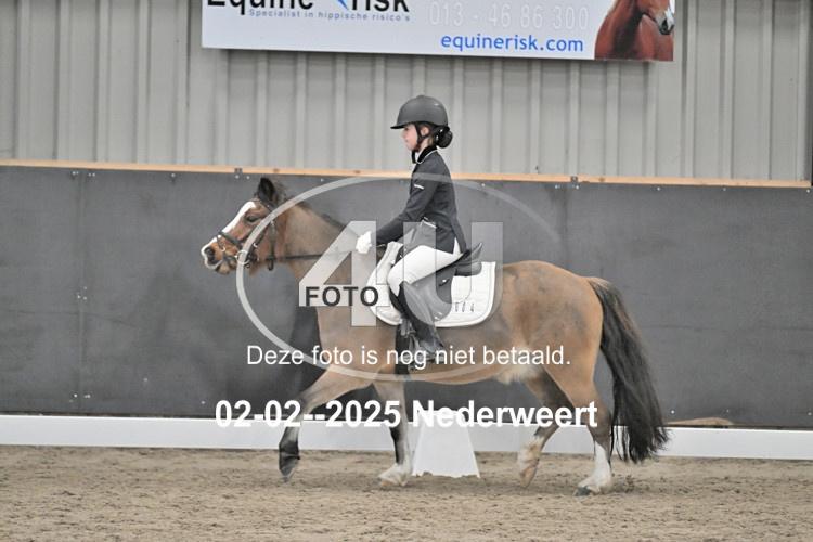 250202 0666