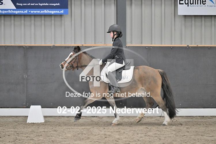 250202 0667