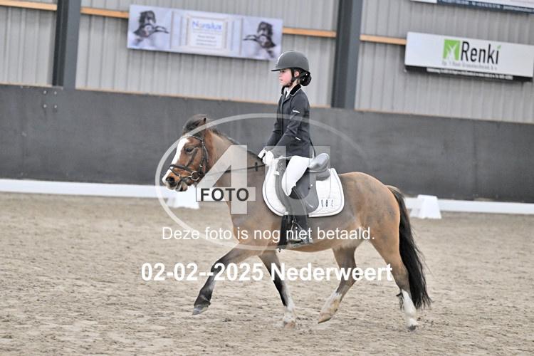 250202 0708