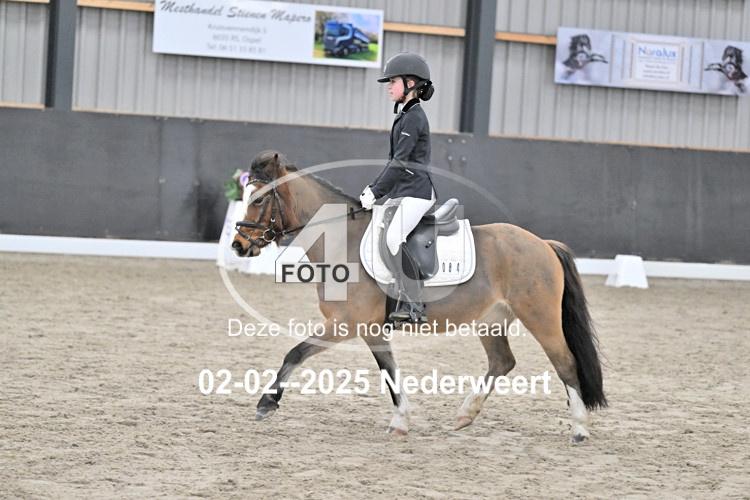 250202 0709