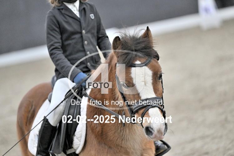 250202 0781