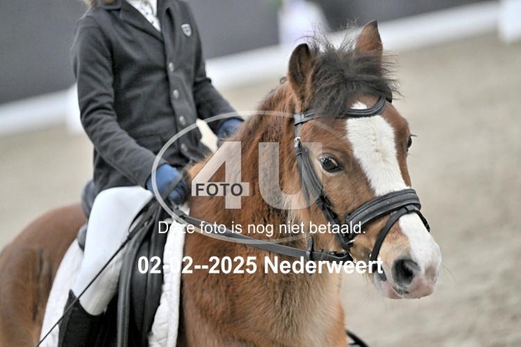 250202 0783