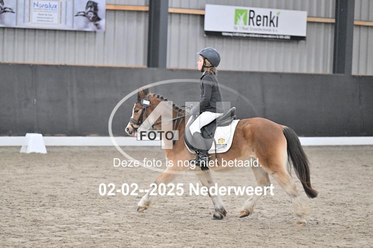 250202 0801