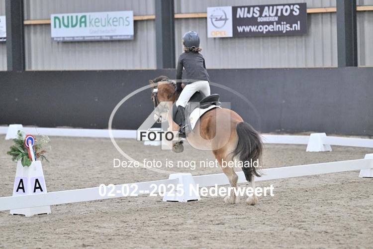 250202 0803