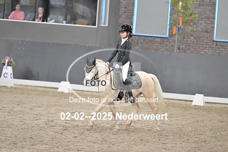 250202 0816