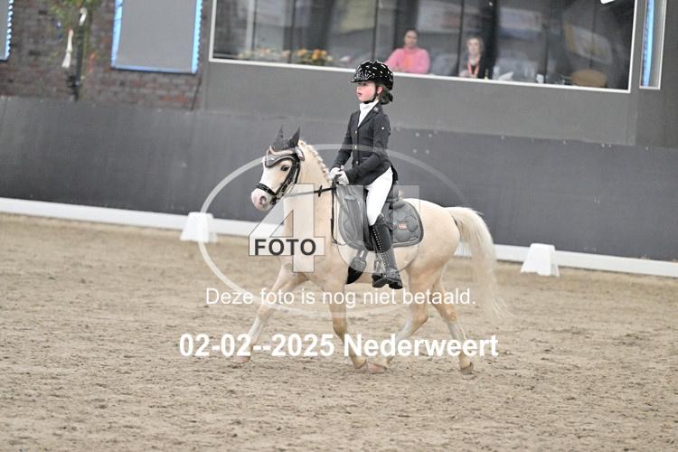 250202 0818