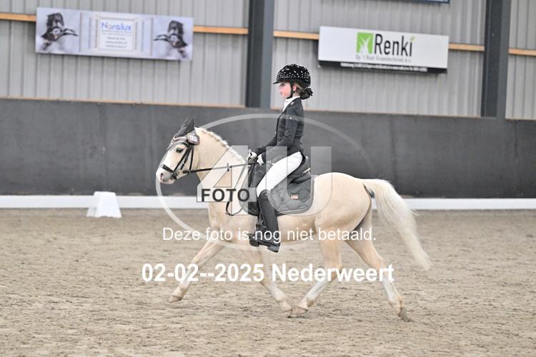 250202 0823