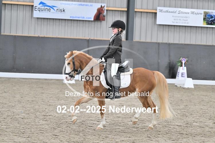 250202 0842