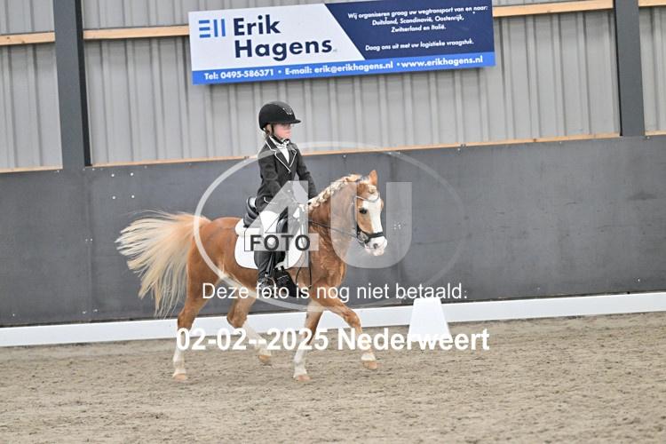 250202 0846