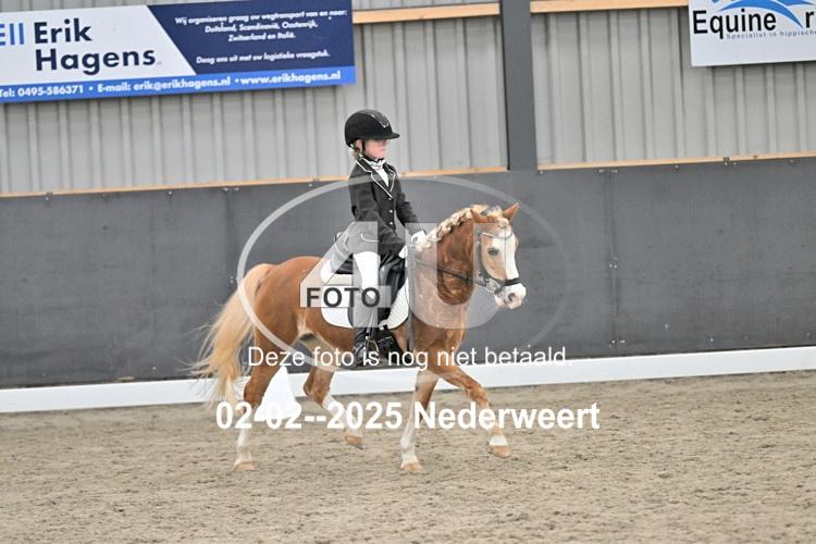 250202 0847