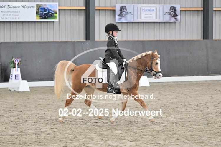 250202 0851
