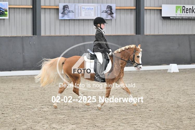 250202 0852