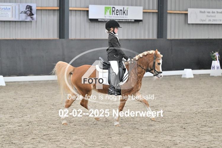 250202 0853