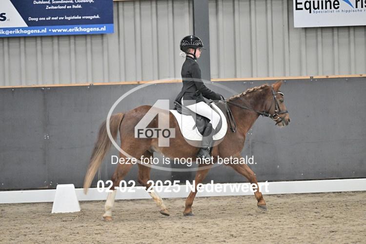 250202 0865