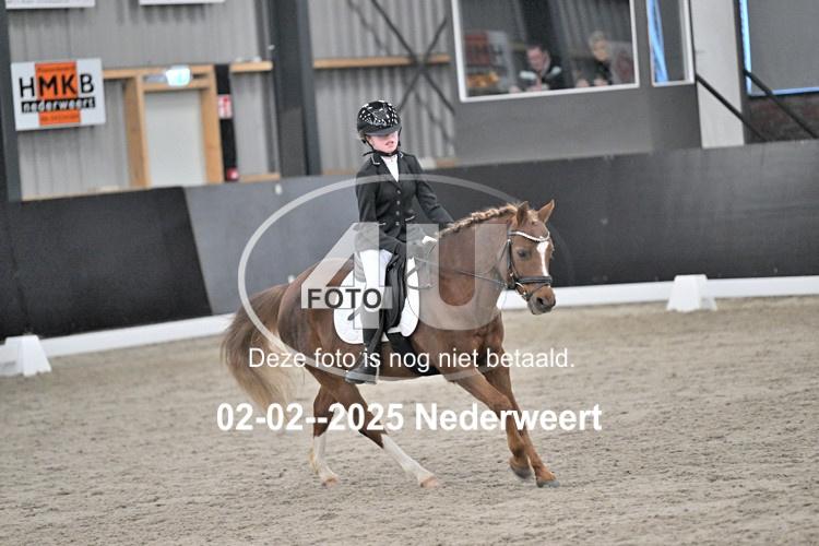 250202 0882