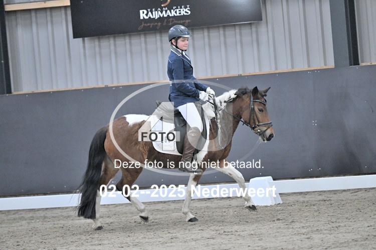 250202 1134