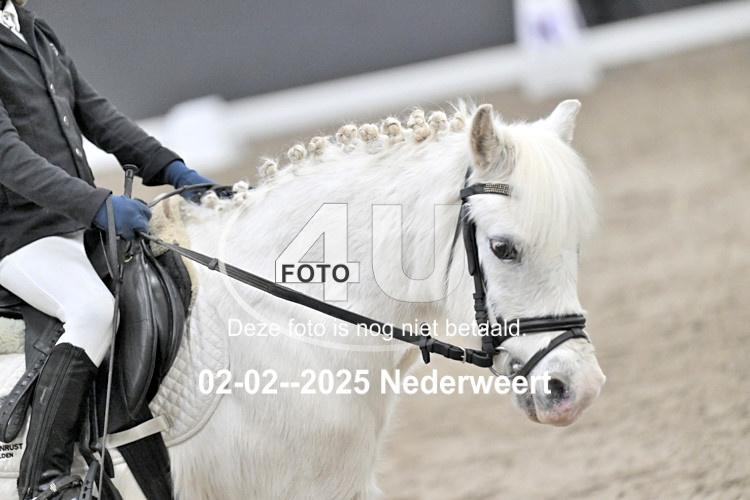 250202 1168