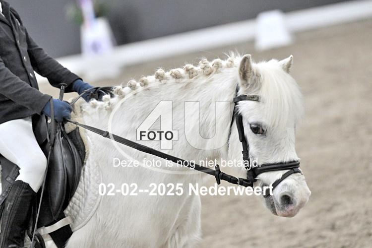250202 1169