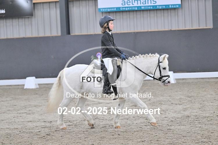 250202 1184