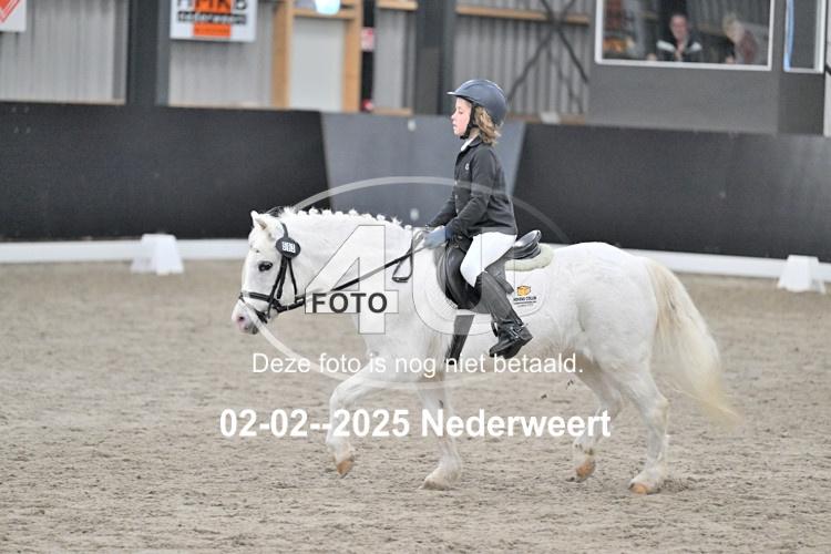 250202 1192