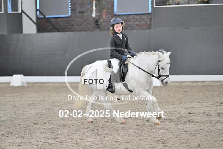 250202 1201