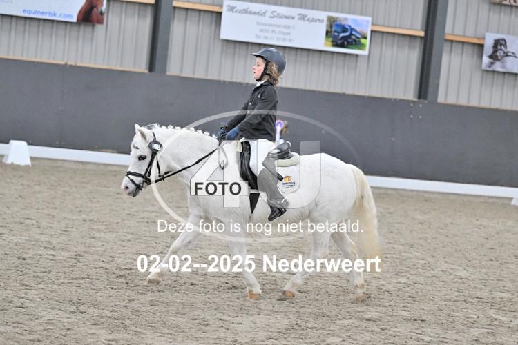 250202 1219