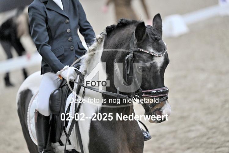 250202 1239