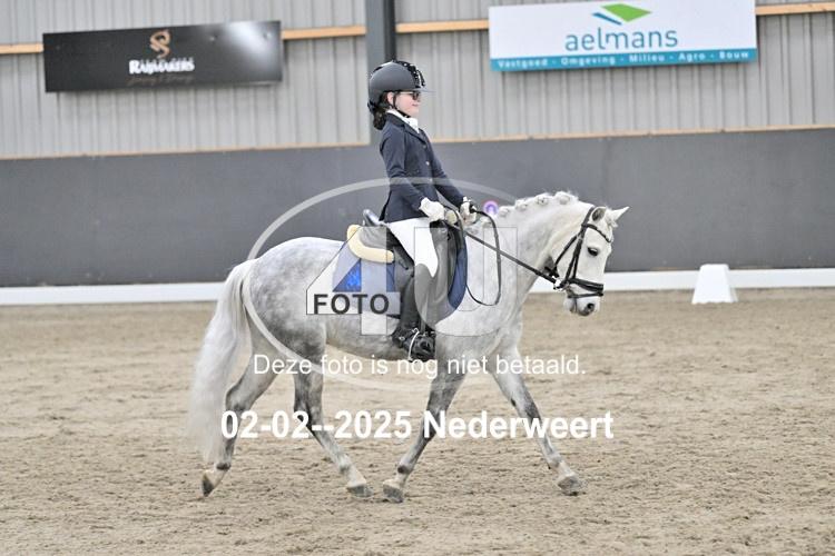 250202 1243