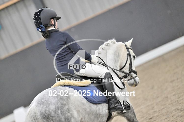 250202 1254
