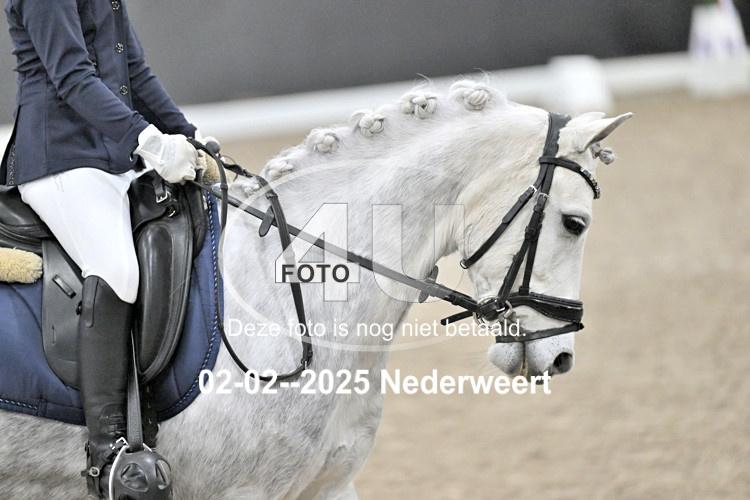 250202 1264