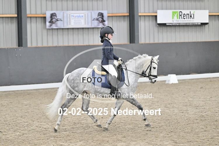 250202 1291