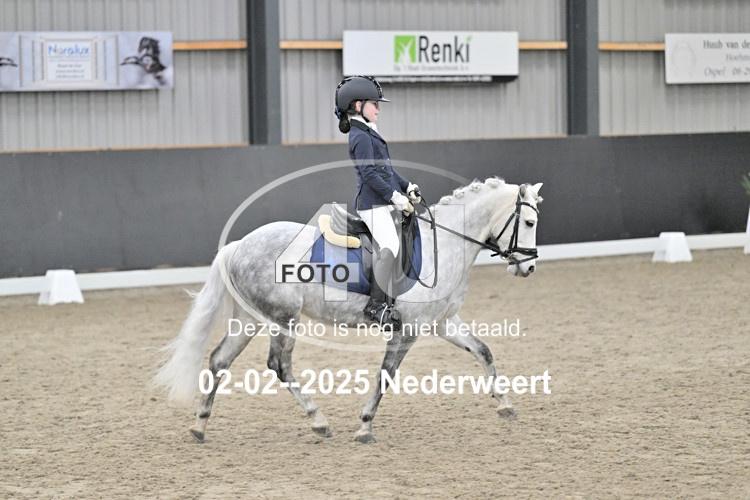 250202 1292
