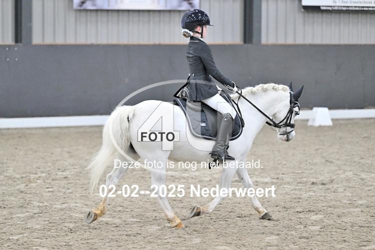 250202 1503