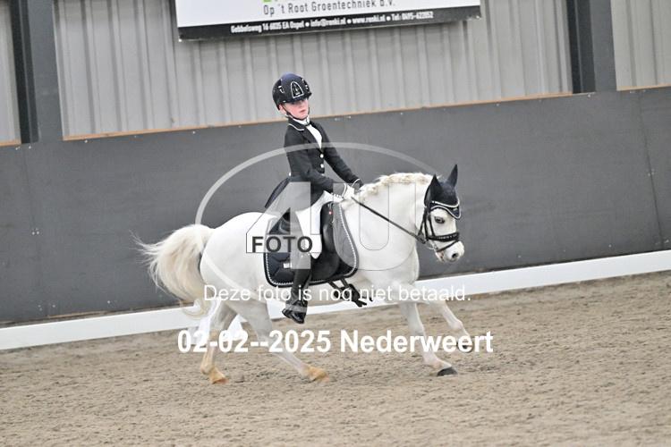 250202 1528