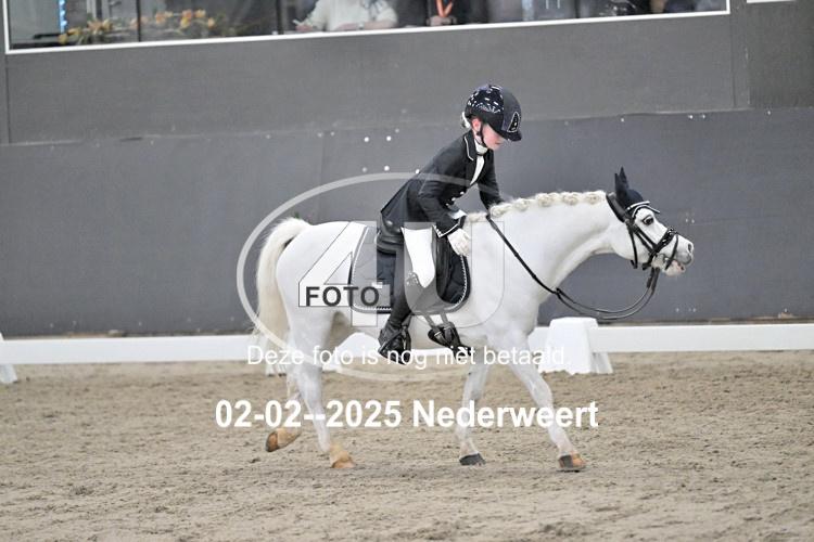 250202 1539