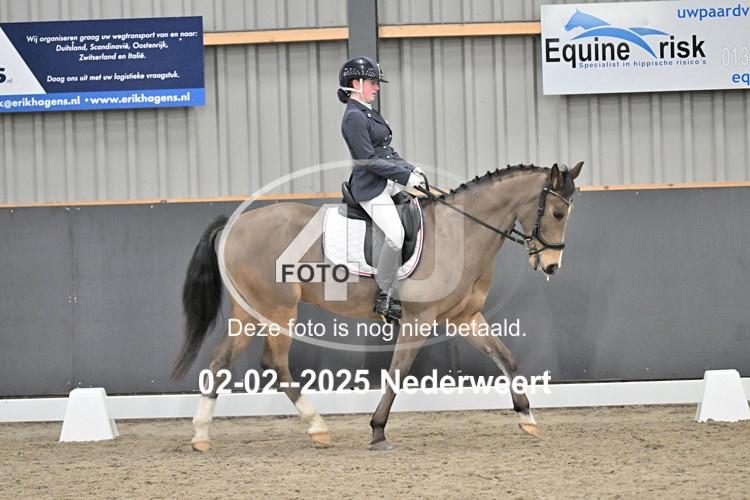 250202 1645